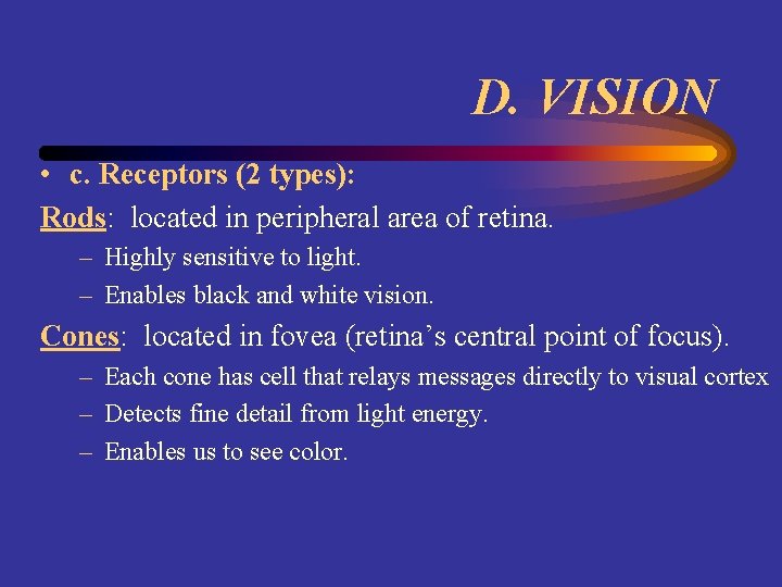 D. VISION • c. Receptors (2 types): Rods: located in peripheral area of retina.