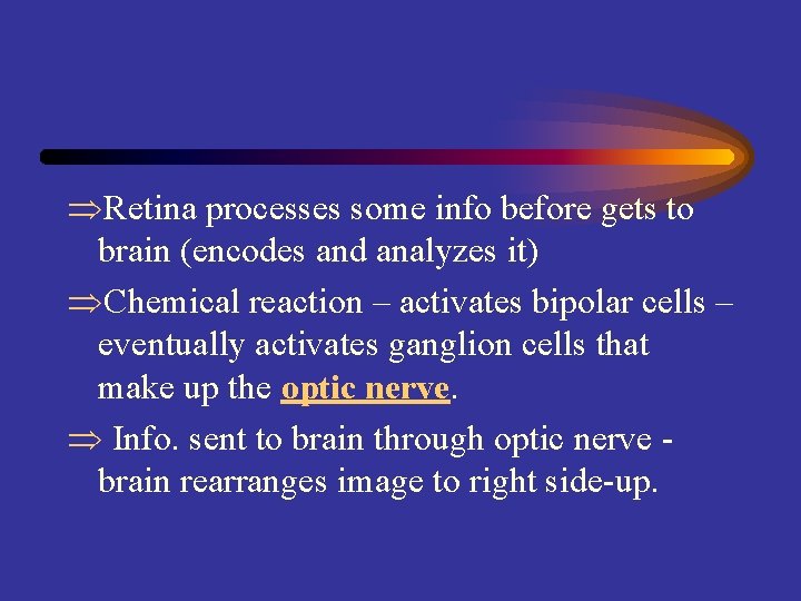  Retina processes some info before gets to brain (encodes and analyzes it) Chemical