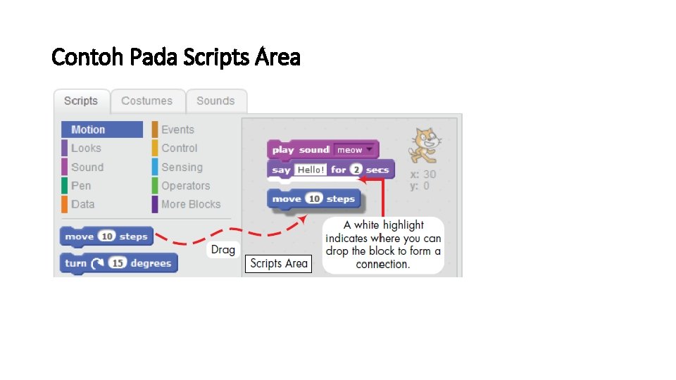 Contoh Pada Scripts Area 