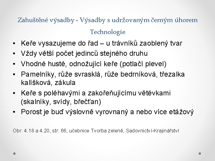 Zahuštěné výsadby - Výsadby s udržovaným černým úhorem Technologie • • Keře vysazujeme do