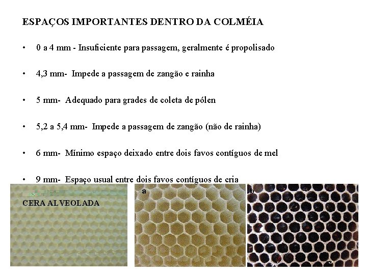 ESPAÇOS IMPORTANTES DENTRO DA COLMÉIA • • 0 a 4 mm - Insuficiente para