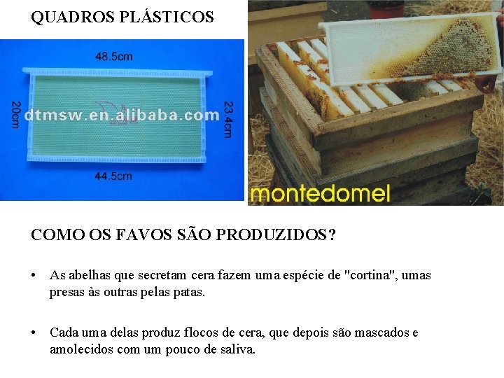 QUADROS PLÁSTICOS COMO OS FAVOS SÃO PRODUZIDOS? • As abelhas que secretam cera fazem