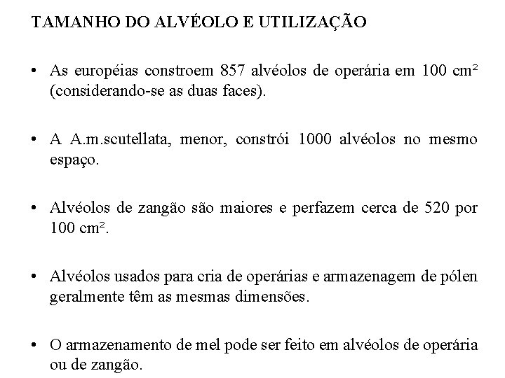 TAMANHO DO ALVÉOLO E UTILIZAÇÃO • As européias constroem 857 alvéolos de operária em