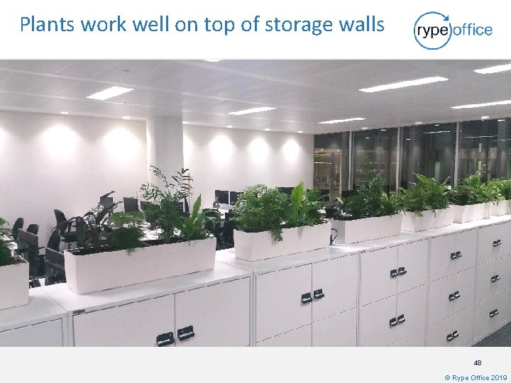 Plants work well on top of storage walls 48 © Rype Office 2019 