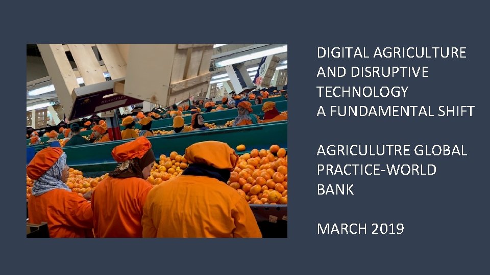 DIGITAL AGRICULTURE AND DISRUPTIVE TECHNOLOGY A FUNDAMENTAL SHIFT AGRICULUTRE GLOBAL PRACTICE-WORLD BANK MARCH 2019