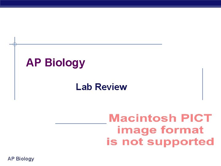 AP Biology Lab Review AP Biology 