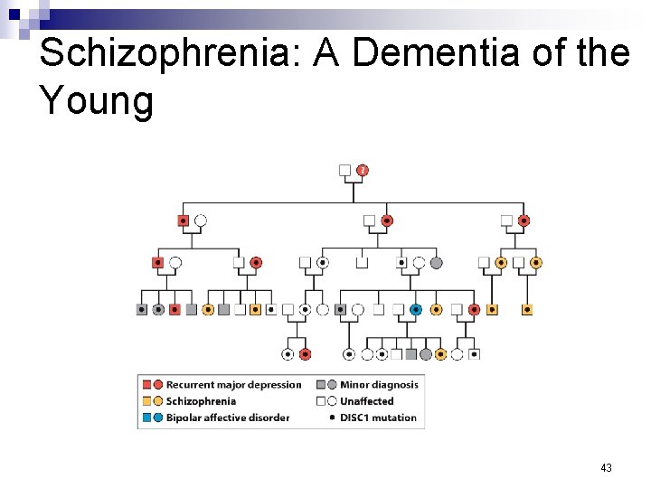 Schizophrenia: A Dementia of the Young 43 