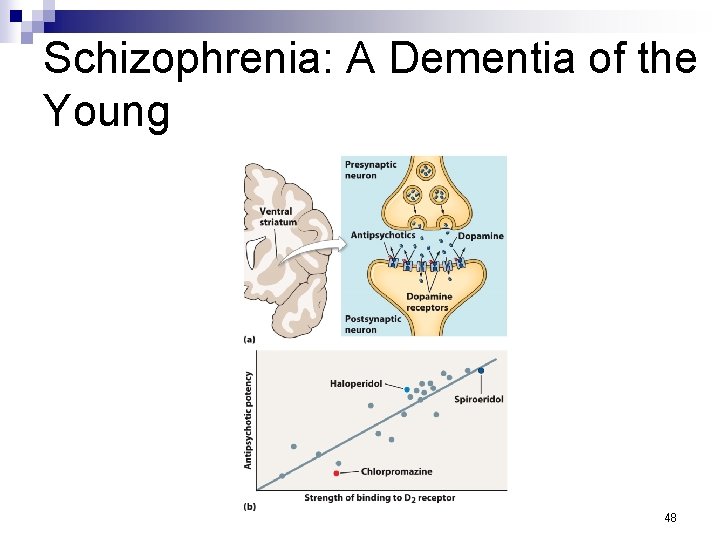 Schizophrenia: A Dementia of the Young 48 