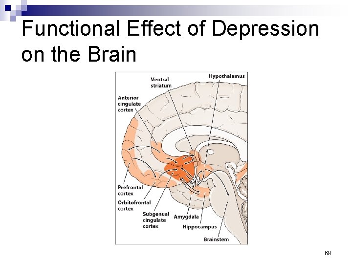 Functional Effect of Depression on the Brain 69 