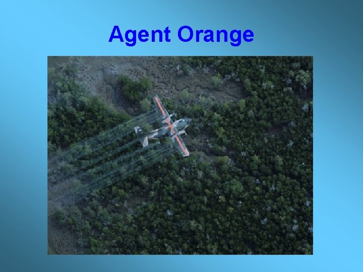 Agent Orange 