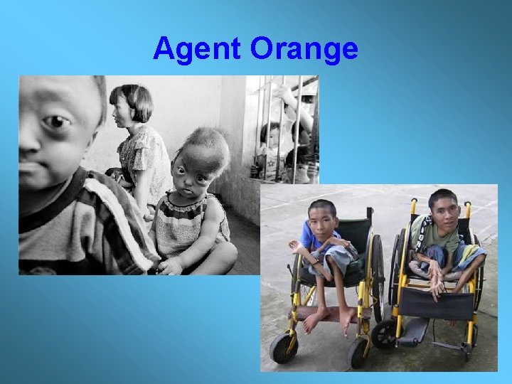 Agent Orange Agent Orange
