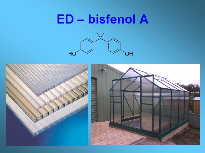 ED – bisfenol A 