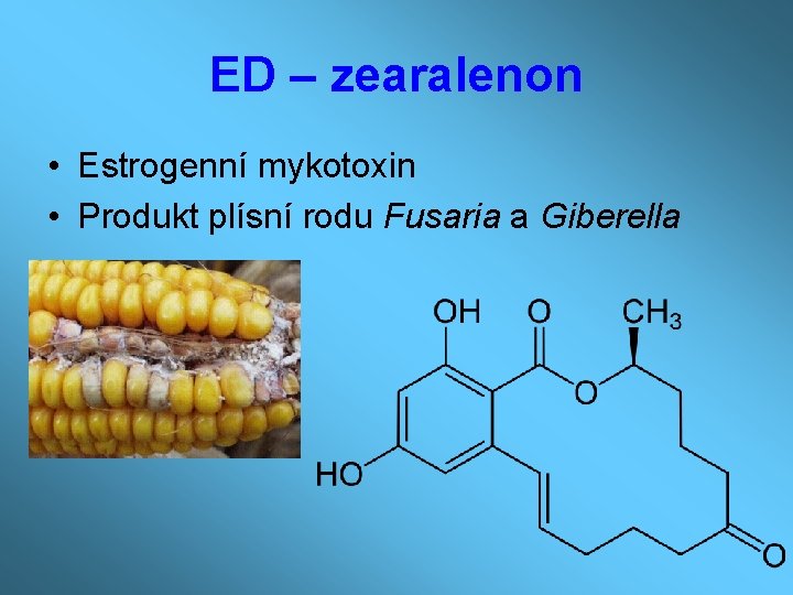 ED – zearalenon • Estrogenní mykotoxin • Produkt plísní rodu Fusaria a Giberella 