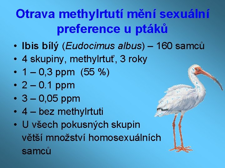 Otrava methylrtutí mění sexuální preference u ptáků • Ibis bílý (Eudocimus albus) – 160