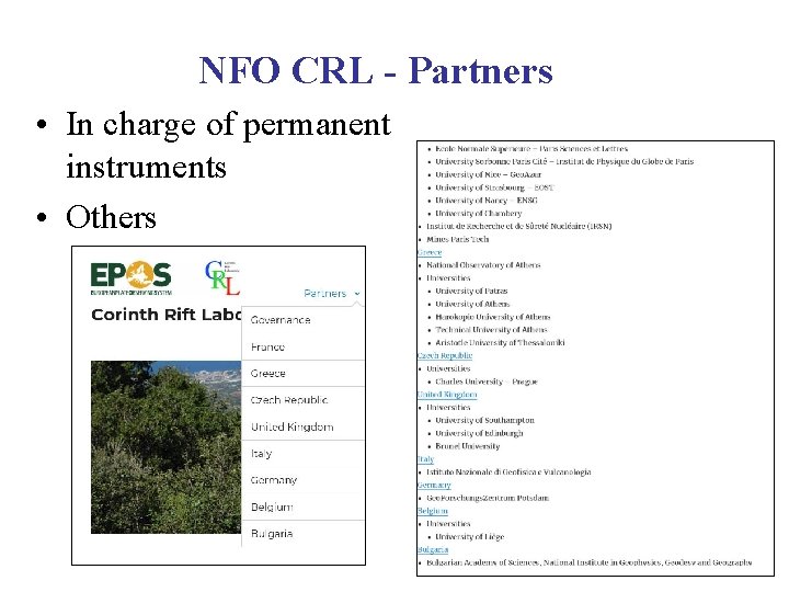 NFO CRL - Partners • In charge of permanent instruments • Others 