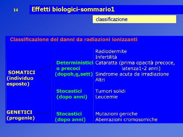 14 Effetti biologici-sommario 1 classificazione 