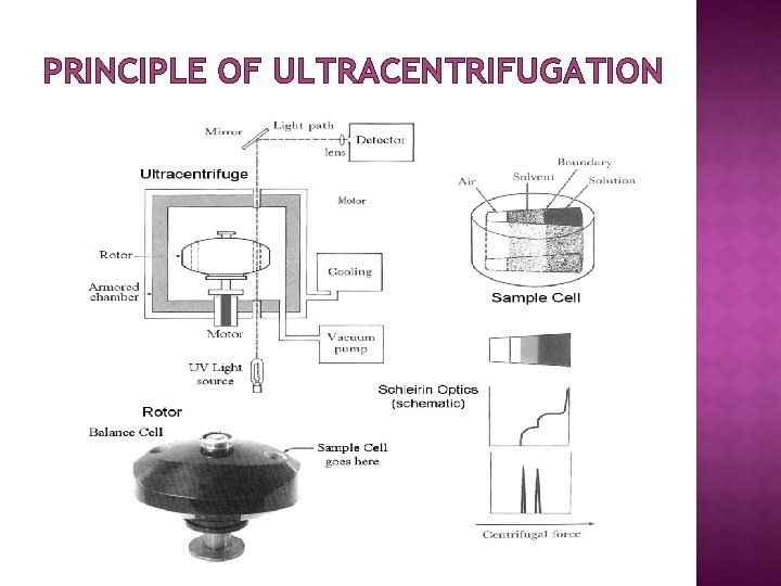 PRINCIPLE OF ULTRACENTRIFUGATION 