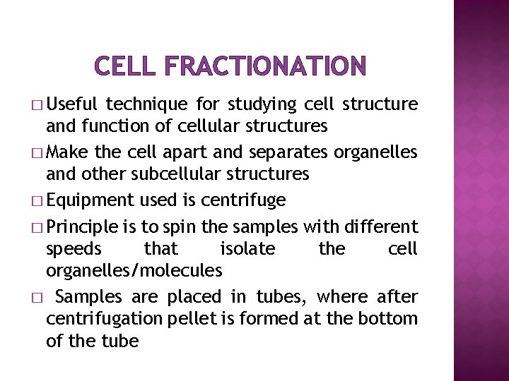 CELL FRACTIONATION � Useful technique for studying cell structure and function of cellular structures