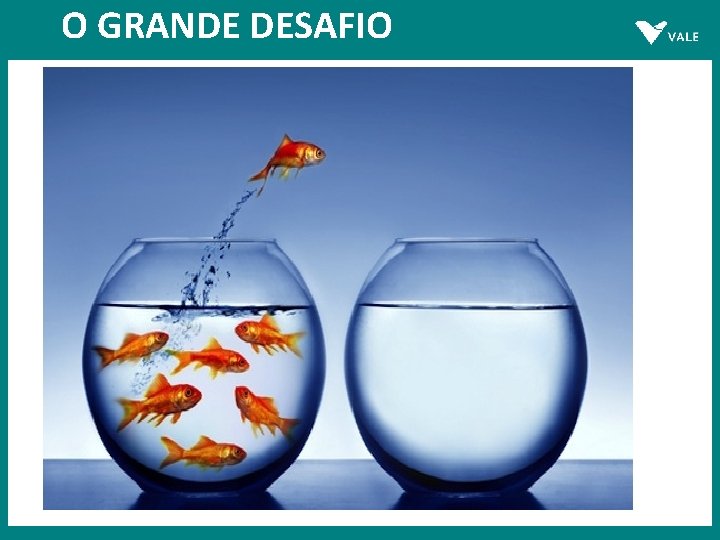 O GRANDE DESAFIO 