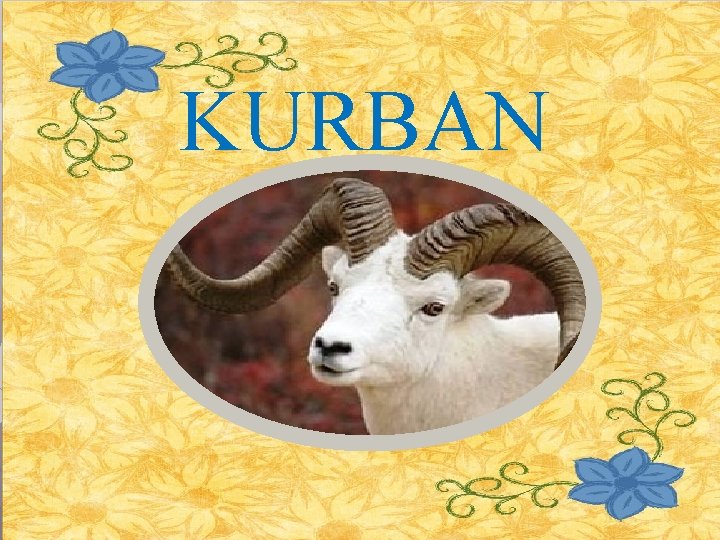 KURBAN 