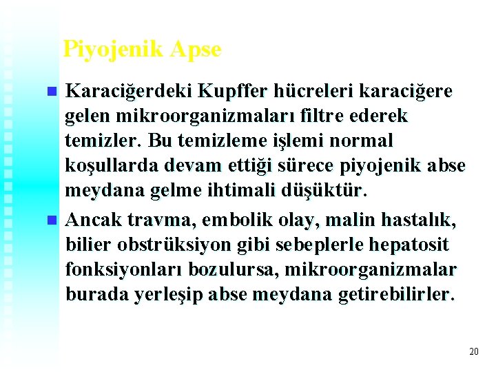 Piyojenik Apse Karaciğerdeki Kupffer hücreleri karaciğere gelen mikroorganizmaları filtre ederek temizler. Bu temizleme işlemi Piyojenik Apse Karaciğerdeki Kupffer hücreleri karaciğere gelen mikroorganizmaları filtre ederek temizler. Bu temizleme işlemi