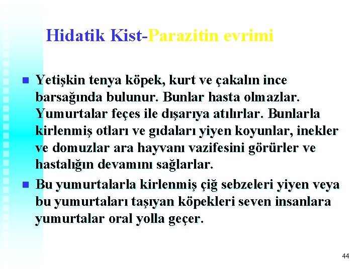 Hidatik Kist-Parazitin evrimi n n Yetişkin tenya köpek, kurt ve çakalın ince barsağında bulunur. Hidatik Kist-Parazitin evrimi n n Yetişkin tenya köpek, kurt ve çakalın ince barsağında bulunur.