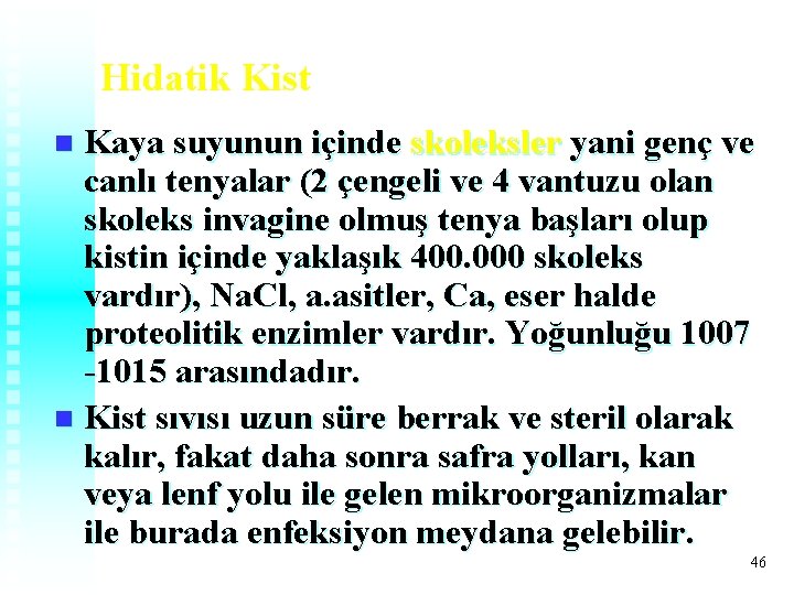 Hidatik Kist Kaya suyunun içinde skoleksler yani genç ve canlı tenyalar (2 çengeli ve Hidatik Kist Kaya suyunun içinde skoleksler yani genç ve canlı tenyalar (2 çengeli ve