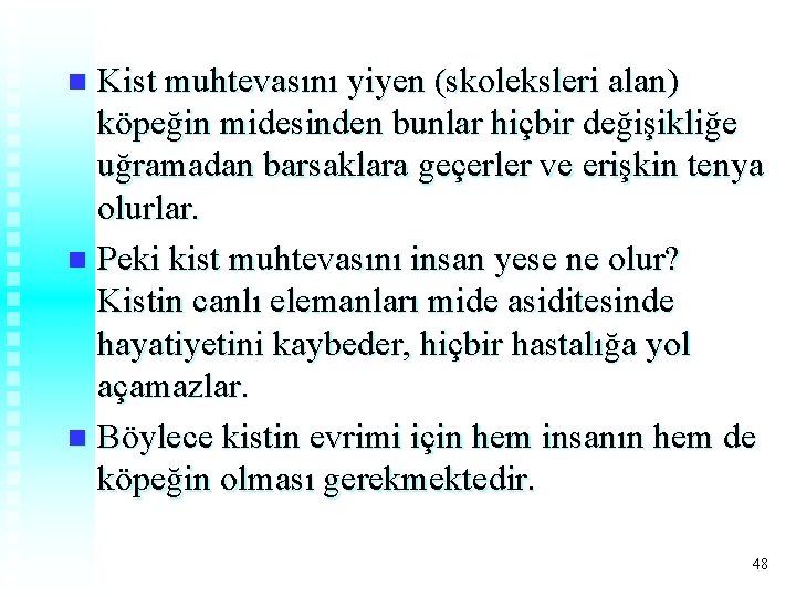 Kist muhtevasını yiyen (skoleksleri alan) köpeğin midesinden bunlar hiçbir değişikliğe uğramadan barsaklara geçerler ve Kist muhtevasını yiyen (skoleksleri alan) köpeğin midesinden bunlar hiçbir değişikliğe uğramadan barsaklara geçerler ve