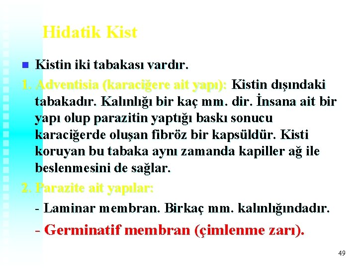 Hidatik Kistin iki tabakası vardır. 1. Adventisia (karaciğere ait yapı): Kistin dışındaki tabakadır. Kalınlığı Hidatik Kistin iki tabakası vardır. 1. Adventisia (karaciğere ait yapı): Kistin dışındaki tabakadır. Kalınlığı