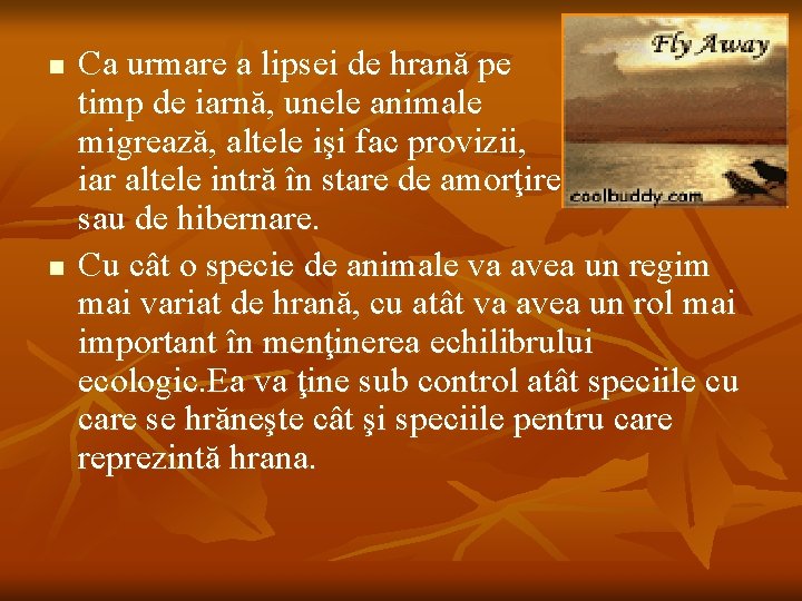 n n Ca urmare a lipsei de hrană pe timp de iarnă, unele animale