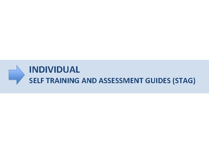 INDIVIDUAL SELF TRAINING AND ASSESSMENT GUIDES (STAG) 