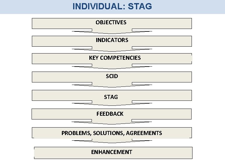 INDIVIDUAL: STAG OBJECTIVES INDICATORS KEY COMPETENCIES SCID STAG FEEDBACK PROBLEMS, SOLUTIONS, AGREEMENTS ENHANCEMENT 