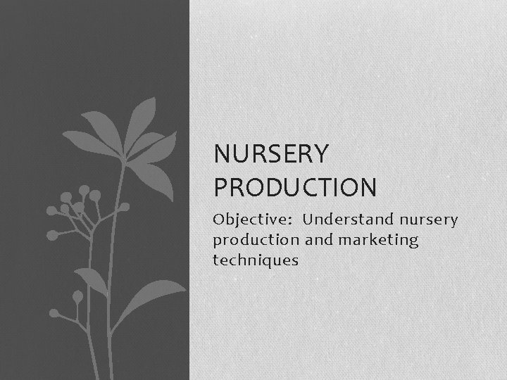 NURSERY PRODUCTION Objective: Understand nursery production and marketing techniques 