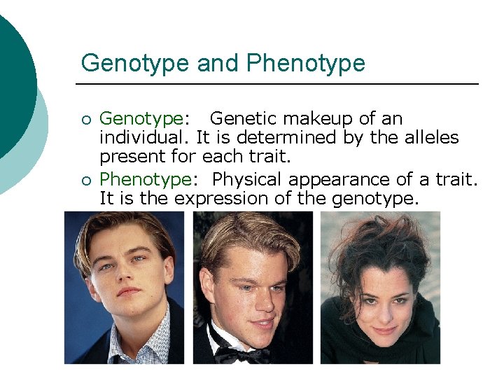 Genotype and Phenotype ¡ ¡ Genotype: Genetic makeup of an individual. It is determined
