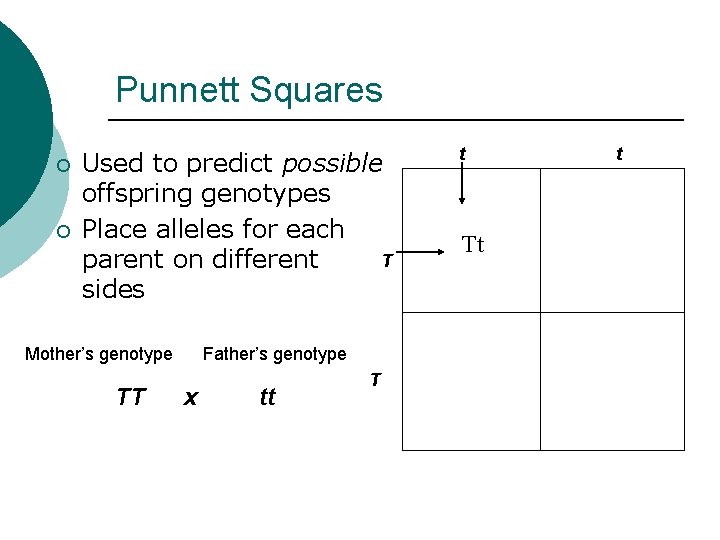 Punnett Squares ¡ ¡ Used to predict possible offspring genotypes Place alleles for each