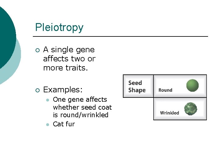Pleiotropy ¡ A single gene affects two or more traits. ¡ Examples: l l