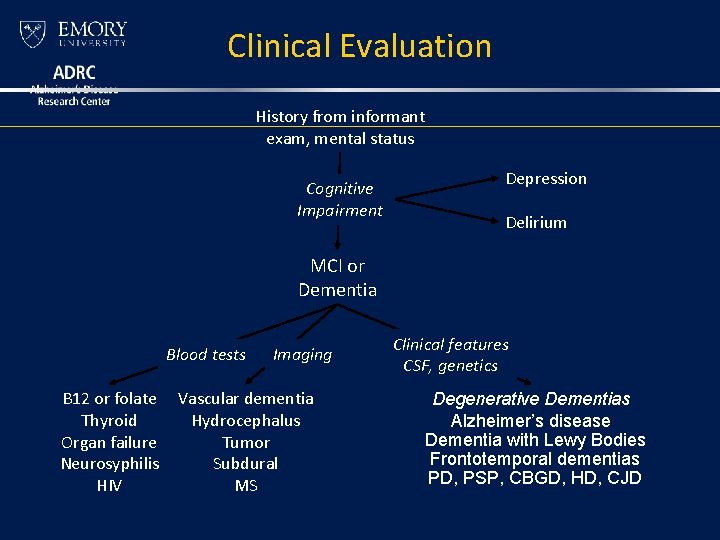 Clinical Evaluation History from informant exam, mental status Cognitive Impairment Depression Delirium MCI or Clinical Evaluation History from informant exam, mental status Cognitive Impairment Depression Delirium MCI or