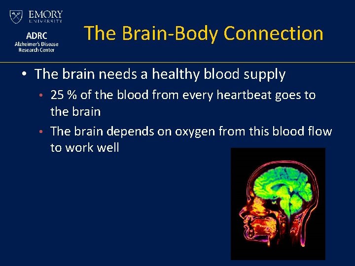 The Brain-Body Connection • The brain needs a healthy blood supply 25 % of The Brain-Body Connection • The brain needs a healthy blood supply 25 % of