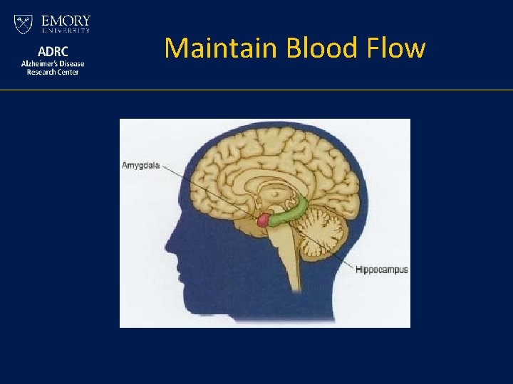 Maintain Blood Flow Maintain Blood Flow