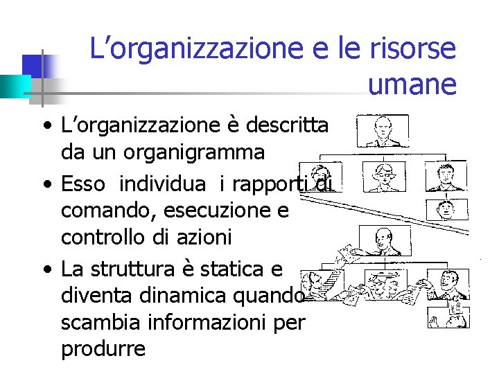L’organizzazione e le risorse umane • L’organizzazione è descritta da un organigramma • Esso