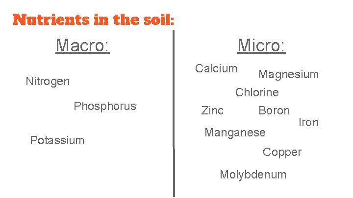 Nutrients in the soil: Macro: Micro: Calcium Nitrogen Magnesium Chlorine Phosphorus Potassium Zinc Boron