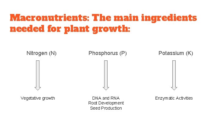 Macronutrients: The main ingredients needed for plant growth: Nitrogen (N) Vegetative growth Phosphorus (P)