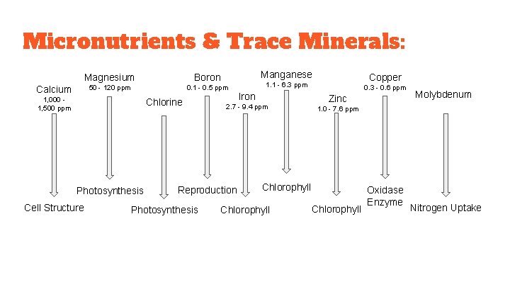 Micronutrients & Trace Minerals: Calcium Boron 50 - 120 ppm 0. 1 - 0.