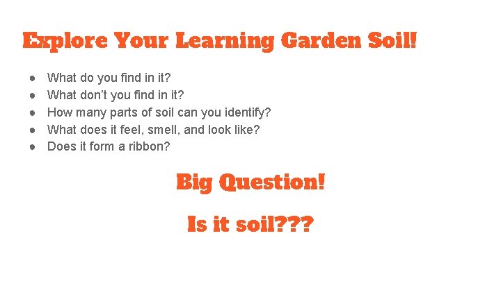 Explore Your Learning Garden Soil! ● ● ● What do you find in it?
