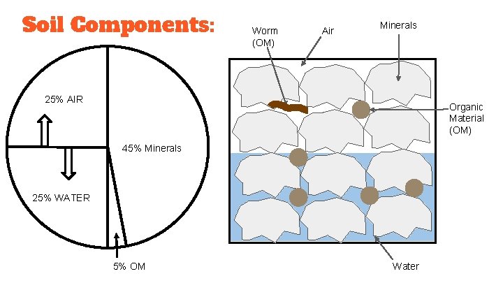 Soil Components: Worm (OM) Air Minerals 25% AIR Organic Material (OM) 45% Minerals 25%