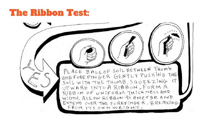 The Ribbon Test: 