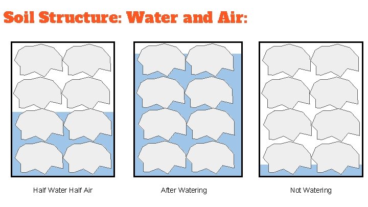 Soil Structure: Water and Air: Half Water Half Air After Watering Not Watering 