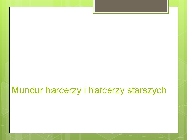 Mundur harcerzy i harcerzy starszych 