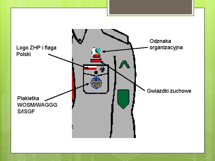 Logo ZHP i flaga Polski Odznaka organizacyjna Gwiazdki zuchowe Plakietka WOSM/WAGGG S/ISGF 