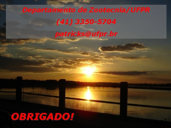 Departamento de Zootecnia/UFPR (41) 3350 -5704 patricks@ufpr. br OBRIGADO! 